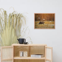 Big Brown Bear Crossing The Marshlands Wildlife Photo Framed Wall Art Prints