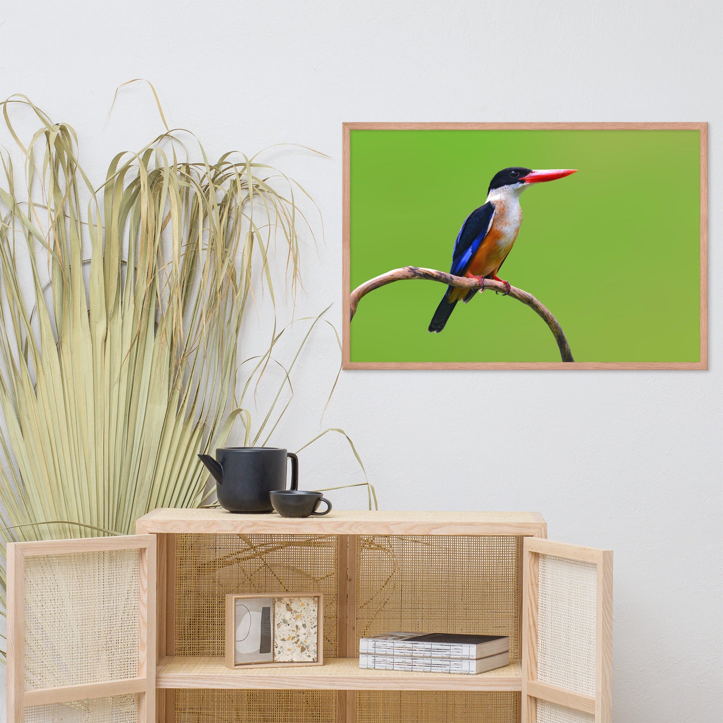 Black Capped Kingfisher Bird on Perch Animal Wildlife Photograph Framed Wall Art Prints