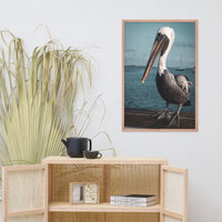 Bob The Pelican 2 Colorized Wildlife Photo Framed Wall Art Prints