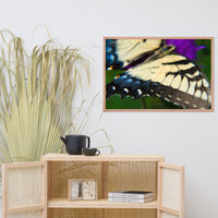 Butterfly Wings Wildlife Photo Framed Wall Art Prints