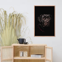 Cane Corso Puppy Low Key Portrait Animal Dog Photograph Framed Wall Art Prints