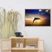 Dramatic Coastal Sunset On The Water With Jumping Bottle Noise Dolphin Animal Wildlife Photograph Framed Wall Art Print