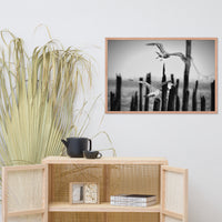 Flying Sea Gull in Black and White Animal Wildlife Photograph Framed Wall Art Prints