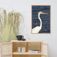 Great White Egret Animal Wildlife Photograph Framed Wall Art Prints