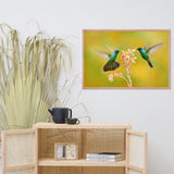 Hummingbirds with Little Pink Flowers Animal Wildlife Photo Framed Wall Art Prints