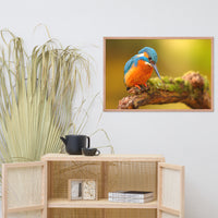 Kingfisher Bird on Perch 2 Animal Wildlife Photo Framed Wall Art Prints