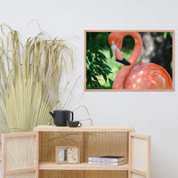 Pinky the Pink Flamingo Animal Wildlife Photograph Framed Wall Art Prints
