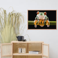 Red Eyed Tree Frog Sitting on Branch Animal Wildlife Nature Photo Framed Wall Art Print
