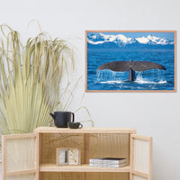 Sperm Whale Tall Splashing In Blue Water With Mountains Of Norway Animal Wildlife Photograph Framed Wall Art Print
