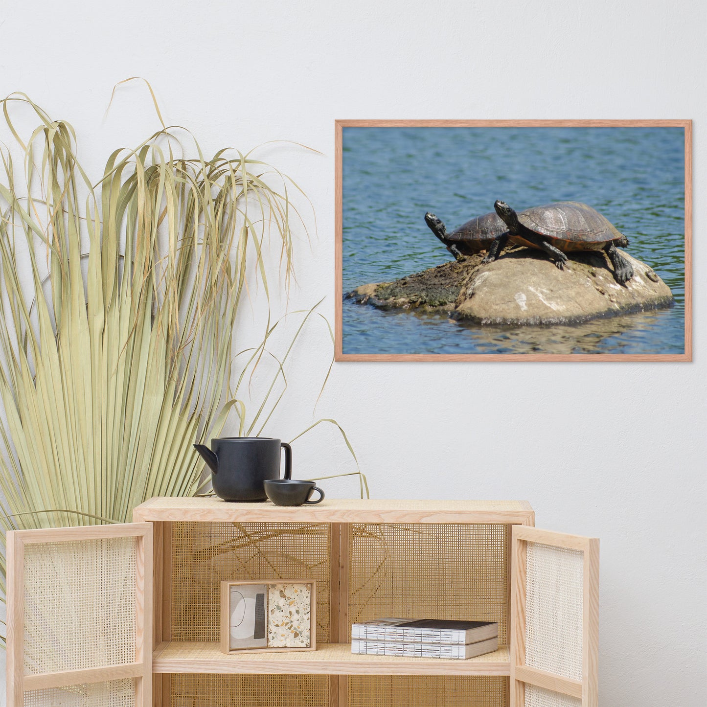Sunshine Rock with Turtles Animal Wildlife Photograph Framed Wall Art Prints