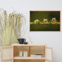Three Tiny Green Red Eyed Tree Frog on Bamboo Animal Wildlife Photograph Framed Wall Art Prints