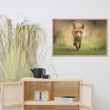 Young Female Red Fox In Forest Animal Wildlife Nature Photograph Framed Wall Art Prints