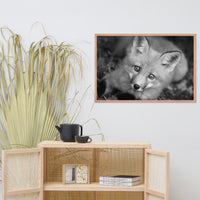 Young Red Fox Face Black and White Animal Wildlife Nature Photograph Framed Wall Art Prints