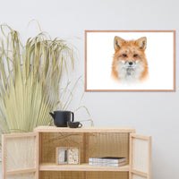Young Red Fox Face On White Animal Wildlife Nature Framed Wall Art Prints