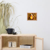 Close-up Orange Tropical Clownfish Face in Coral Animal Wildlife Photograph Framed Wall Art Print