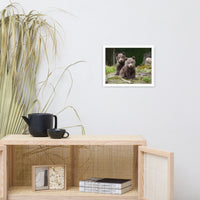 Baby Brown Bear Cubs In Forest Wildlife Photo Framed Wall Art Print