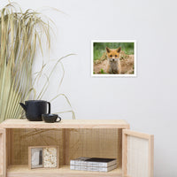 Baby Red Fox Coming Out Wildlife Photo Framed Wall Art Prints