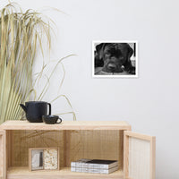 Cane Corso on Porch Animal Dog Black & White Framed Wall Art Prints