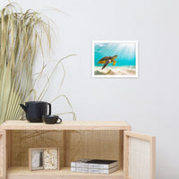 Hawaiian Green Sea Turtle In Turquoise Blue Sea and Sandbars Animal Wildlife Photograph Framed Wall Art Print
