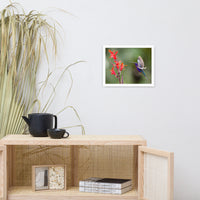 Hummingbird with Little Red Flowers Animal Wildlife Photograph Framed Wall Art Prints