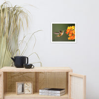 Hummingbird with Little Yellow-Orange Flowers Animal Wildlife Photograph Framed Wall Art Prints
