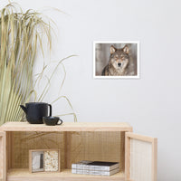 Portrait of Gray Wolf In The Forest Animal Wildlife Nature Photograph Framed Wall Art Prints