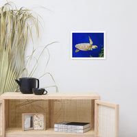 Sea Turtle 1 Animal Wildlife Photograph Framed Wall Art Prints