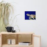 Sea Turtle 2 Animal Wildlife Photograph Framed Wall Art Prints
