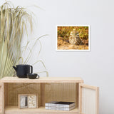 Burrowing Owl in Golden Light Wildlife Nature Photo Framed Wall Art Prints