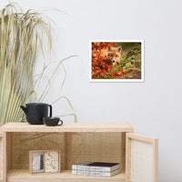 Baby Red Fox Face and Autumn Leaves In Forest Animal Wildlife Nature Photo Framed Wall Art Prints