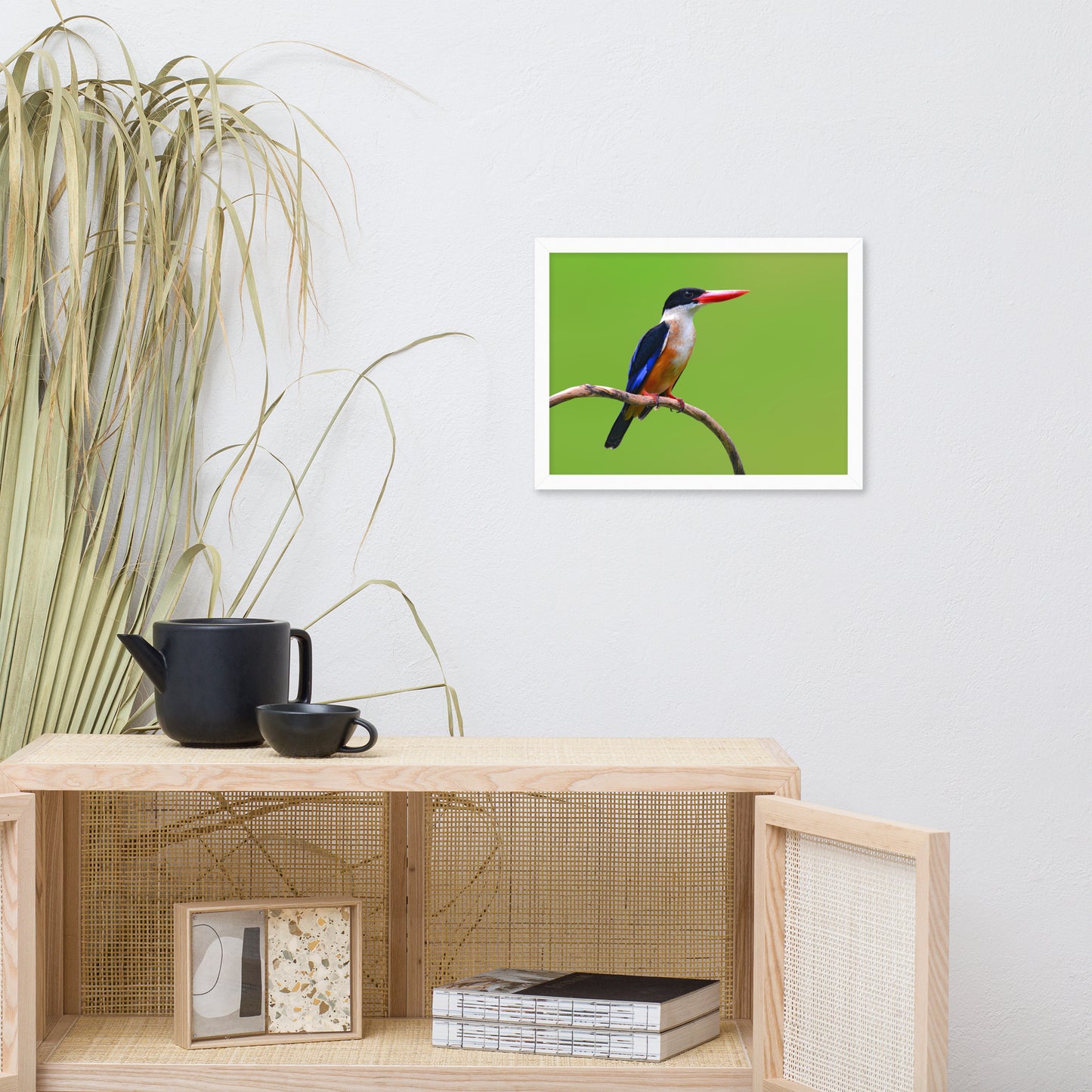 Black Capped Kingfisher Bird on Perch Animal Wildlife Photograph Framed Wall Art Prints