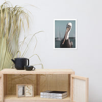 Bob The Pelican Bird 3 Colorized Wildlife Photo Framed Wall Art Prints