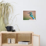 Common Kingfisher Bird on Perch Animal Wildlife Photograph Framed Wall Art Prints