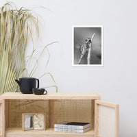 Dragonfly at Bombay Hook in Black and White Animal Wildlife Photograph Framed Wall Art Prints