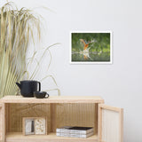 Flying Turquoise Blue and Orange Common Kingfisher Bird With Fish Animal Wildlife Photograph Framed Wall Art Prints
