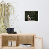 Howling White Wolf In The Forest Animal Wildlife Photograph Framed Wall Art Print