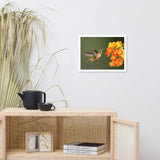 Hummingbird with Little Yellow-Orange Flowers Animal Wildlife Photograph Framed Wall Art Prints