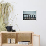 Skyway Bridge & Bob's Pelican Friends Wildlife Photo Framed Wall Art Prints