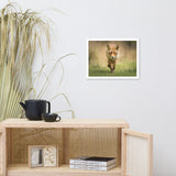 Young Female Red Fox In Forest Animal Wildlife Nature Photograph Framed Wall Art Prints