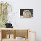 Aries the White Wolf Wildlife Photo Framed Wall Art Print