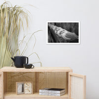 Gull King Animal Wildlife Black and White Photograph Framed Wall Art Prints