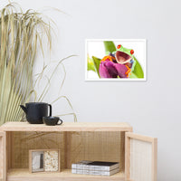 Happy Red Eyed Tree Frog Sitting on Purple Tulip Flower Bloom Wildlife Nature Photo Framed Wall Art Print
