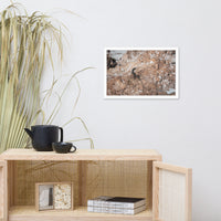 Lizard Rock Colorized Wildlife Photograph Framed Wall Art Prints