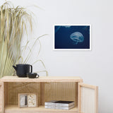 Small Blue Jelly Animal Wildlife Photograph Framed Wall Art Prints