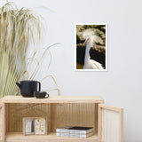 Snowy Egret Animal Wildlife Photograph Framed Wall Art Prints