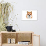 Young Red Fox Face On White Animal Wildlife Nature Framed Wall Art Prints