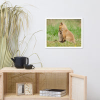 Baby Red Foxes Sibling Kisses Animal Wildlife Photograph Framed Wall Art Prints