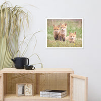 Baby Red Foxes Siblings Animal Wildlife Photograph Framed Wall Art Prints