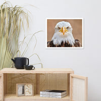 Bald Eagle Portrait Close-up 2 Wildlife Photograph Framed Wall Art Prints