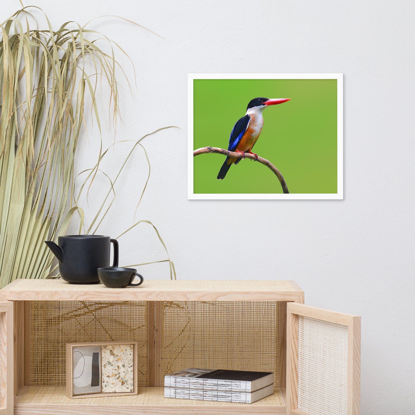 Black Capped Kingfisher Bird on Perch Animal Wildlife Photograph Framed Wall Art Prints